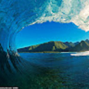 Meet your Posher, Dylan